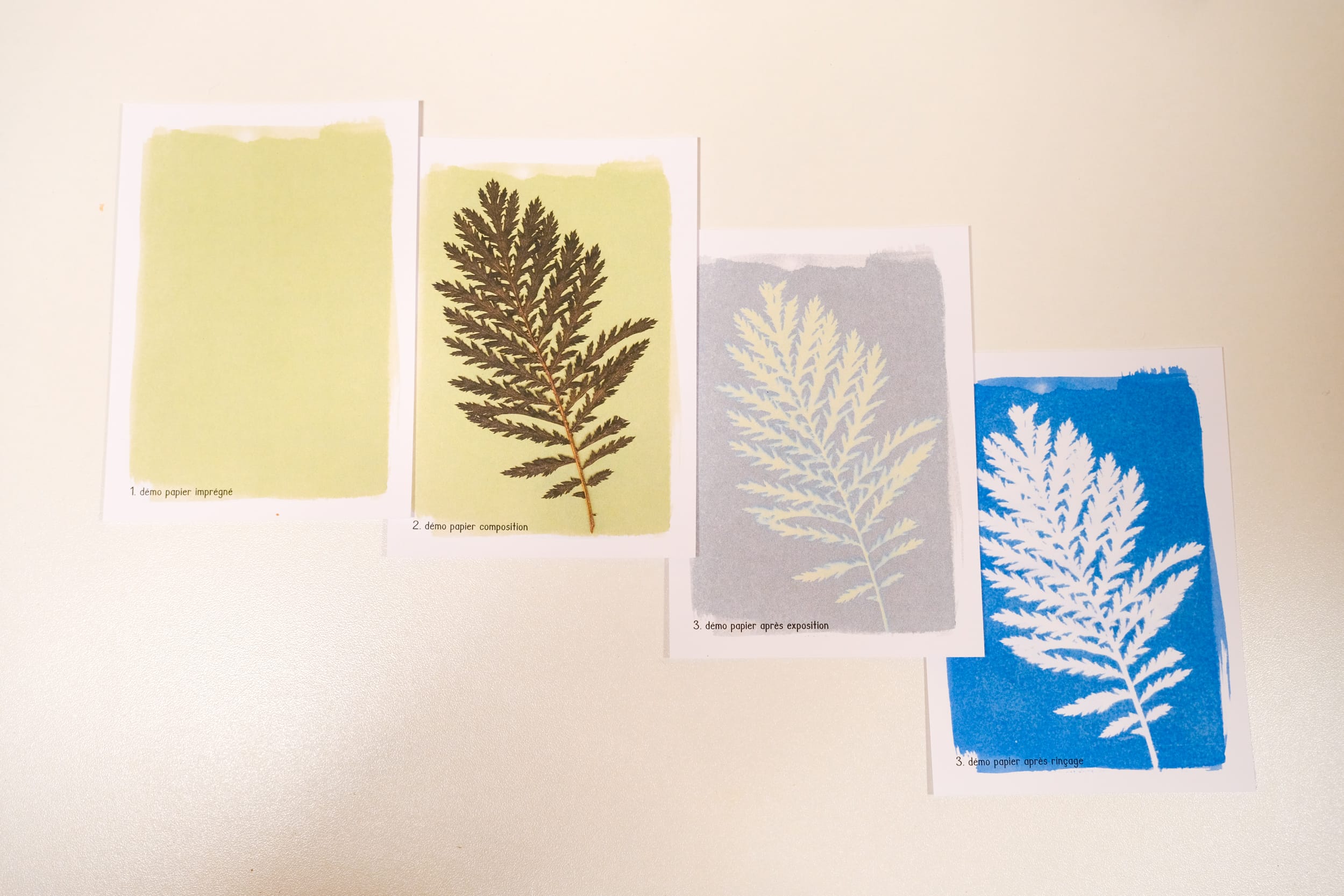 Quel matériel pour débuter le cyanotype Tout pour le cyanotype