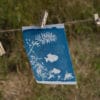 Atelier cyanotype à l'école