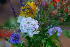 Jura fleurs