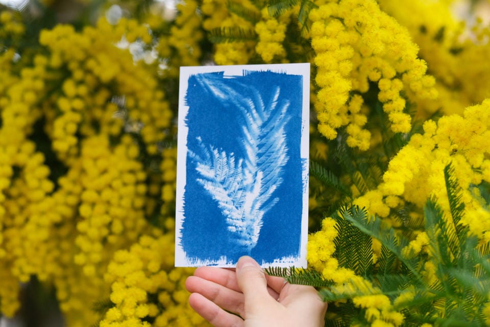 Lampe UV pour cyanotype • Tout pour le cyanotype