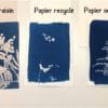 comparatif papiers cyanotype