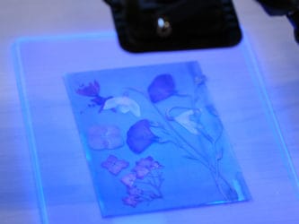 Lampes UV pour cyanotype