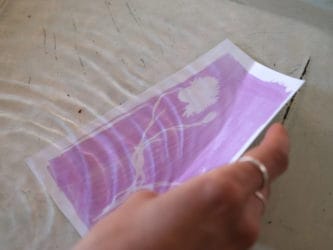 Rinçage papier rosatype