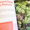 Livre : Guide botanique des plantes dont tout le monde se fout – Image 4