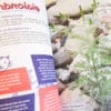 Livre : Guide botanique des plantes dont tout le monde se fout – Image 5