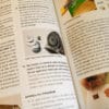 Livre : Procédés de photographie alternatifs – Image 5