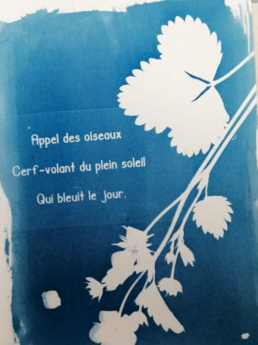 haiku--12 cyanotype & haiku